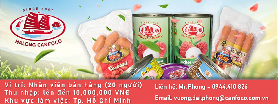 lĩnh vực hoạt động